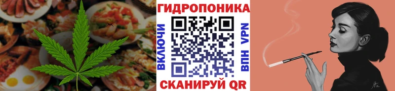 купить  цена  Бабаево  Cannafood конопля 