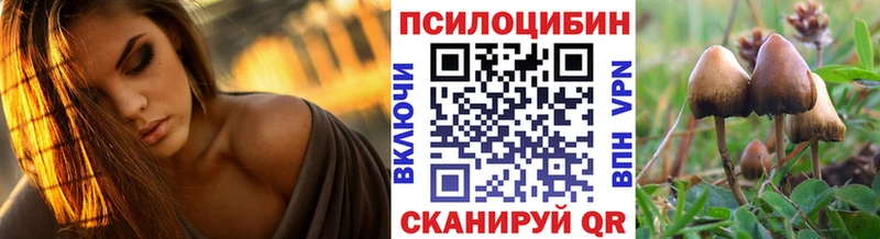 Псилоцибиновые грибы MAGIC MUSHROOMS  продажа наркотиков  Бабаево 